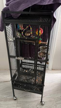 Bird cage with quacker bird 1