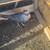 Chickens, hens, pullets, pollas, pollos, gallos, gamefowl for sale 7 thumbnail