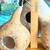 3 gourds bird houses garden decor craft supplies tree hanging home 2 thumbnail