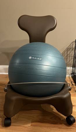 Classic Balance Ball Chair 1