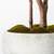 SALE: Studio McGee Artificial Ficus Tree 2 thumbnail
