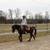 Super nice pony! 13 thumbnail