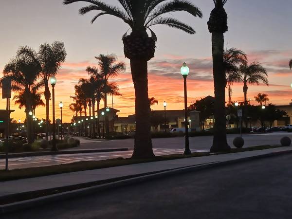 LOOKING FOR ROOM OR STUDIO-PET FRIENDLY 1