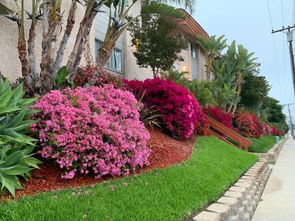 $2,995 / 3br - 1200ft2 - Santee 3bd/2ba-1 Month Free OAC Great Location- Remodeled (Santee)63933116433923121