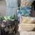 Bench, vanity bench table,  pillows,  outdoors andmicrowave in. 3 thumbnail