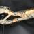 TOPOINT ARCHERY Starting 31 Compound Bow - Color - Camo - NEW 5 thumbnail