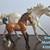 Breyer Horses 1 thumbnail