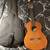 Yamaha CGS102AII 1/2-scale Classical Guitar - Natural with Case 1 thumbnail