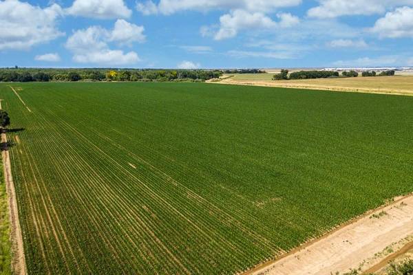 $2,178,600 72+ Acre Irrigated Farmland with Development Potential! (Sacramento)63900567991171124