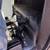 2014 Ford F-150 F150 F 150 18 thumbnail