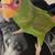 Amazon parrots 1 thumbnail