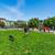 Duplex W/ Submitted Plans to City For Additional Unit 20 thumbnail