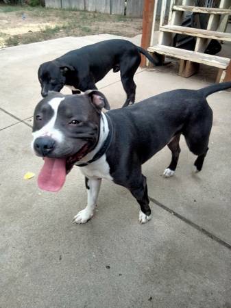 Mighty is my name (Denver)63921242997507123
