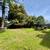 Fantastic Studio Flat 2 Blocks from Berkeley Bowl FREE Laundry 21 thumbnail