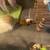 Baby guinea pigs 6 thumbnail