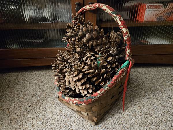 Basket With Pinecones 1