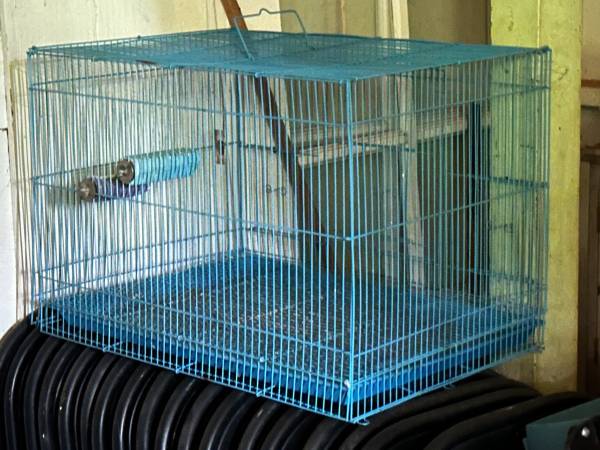 Bird Cage 1