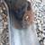 Dodge truck core support 1981-1993 ramcharger power ram 5 thumbnail