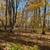 Land For Sale (.98 acres) - $7,999 (Browerville, MN) 2 thumbnail