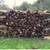 FIREWOOD OAK SEASONED SPLIT FREE DELIVERY 2 thumbnail