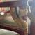 Vintage Empire Mahogany & Bronze Armed Chairs 8 thumbnail