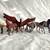 HUGE Entire Breyer Horse Collection! Something for everyone! 12 thumbnail