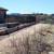 Payless Landscape & Irrigation Services LLC 10 thumbnail