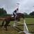 Horseback Riding Lessons 1 thumbnail