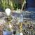 Pr Circa'70 JPN Brass table Lamps in the Style of JMont w/Shades 6 thumbnail