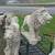 Large Pair of  Large  Lion Concrete Statues 2 thumbnail