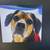 PET PORTRAITS IN SLATE STONE FROM A PHOTO! 8 thumbnail