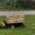 Remote control lawnmower with dumpbed 4 thumbnail