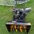 Snowblower 1 thumbnail