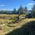 Triad Tractor Svc Inc -Grading, Excavation, Land Clearing, Bushhogging 7 thumbnail