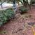 Lawn care,landscape services,landscaping services,cut,grass,cutting 21 thumbnail