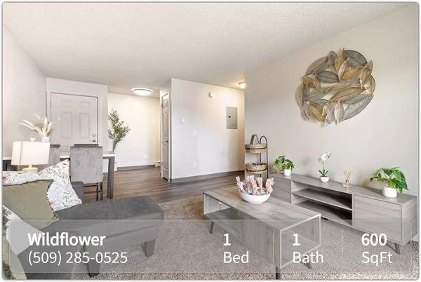 $1,195 / 1br - 600ft2 - Just what you're looking for! 1 Bed / 1 Bath. Come and see! (Kennewick)63779870706691121