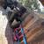 JUNK REMOVAL SAME DAY FURNITURE REMOVAL HOUSE CLEAN OUTS 7 thumbnail
