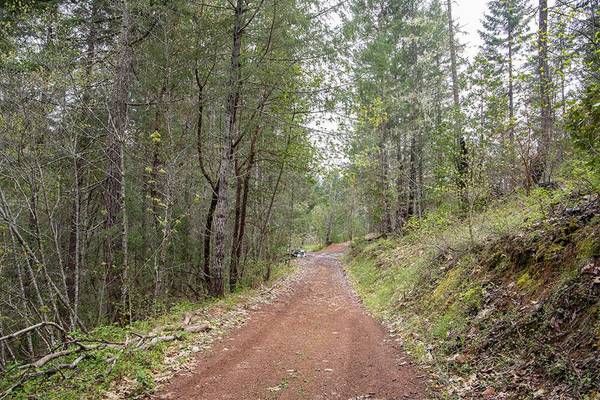 $215,000 🌄 37 Acres para Recorrer – Bosque, Vida Silvestre y Aislamiento Cerca de Lake Selmac (Selma, Oregon)63654692096003122