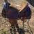 15 & 1/2” American saddlery 3 thumbnail