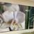 MOVING MUST SELL!!!  XL CANVAS PRINTS with FRAMES 13 thumbnail