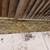 $95 CARPET CLEANING WHOLE HOUSE, TILE, POWER WASHING, WINDOWS,GUTTERS 18 thumbnail