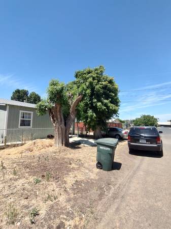 $995,000 / 6br - 8500ft2 - 🔑 Cashflow Machine: 3 Units, Remodeled, As-Is Opportunity (san frasisco)63850427006211122