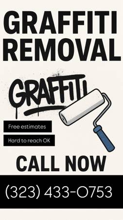 Grafitti Removal Service 1