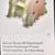 Warren rump double diaphragm pump 1 thumbnail