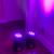 Elevate Your Event: Pair (2) Mini Moving Head DJ LED Wash Lights - 7 x 1 thumbnail