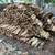 Firewood 1 thumbnail