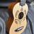 Luna UKE-HONU-SPR Honu Turtle Spruce Soprano Ukulele GS-005 7 thumbnail