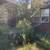 Tree removal and yard clean up 1 thumbnail