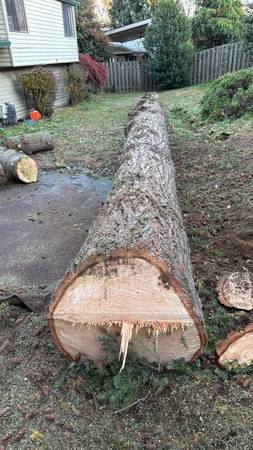 Tree Pruning & Trimming | Tree Removal, Limb, Stump | Licensed Crew 1