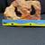 Aquarium Rock / Decor 10 thumbnail